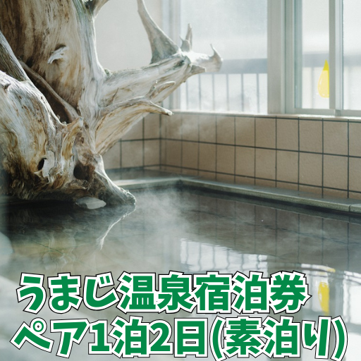 馬路温泉宿泊券/1泊2日ペア宿泊プラン（食事なし）